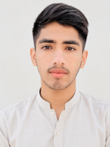 Rana Sattar